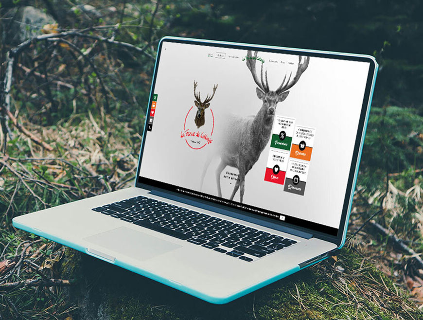 Site web